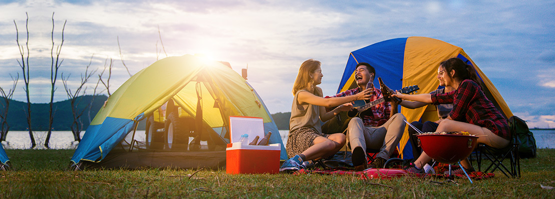 Travel Software Development