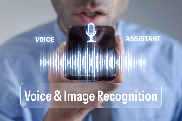 Voice & Image Recognition
